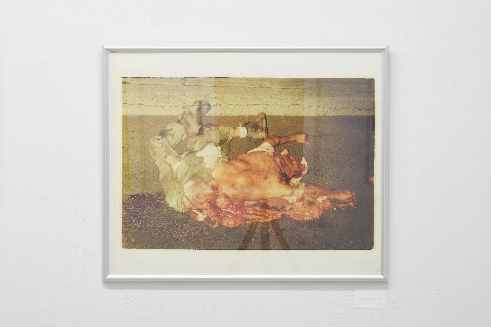 Days of the Dead – 新宿眼科画廊