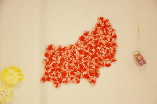 17_02_kamimuramidori040