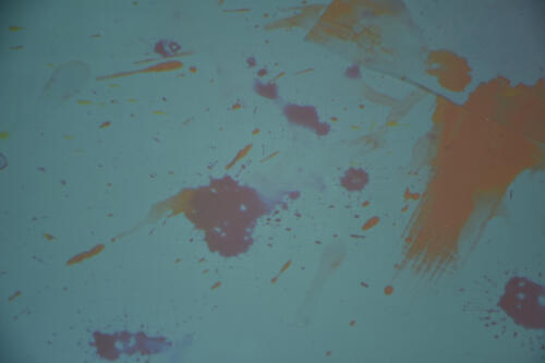 202107_rurimagnet051