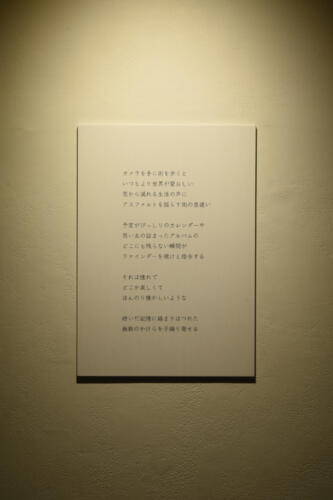 202203_tesaguru009