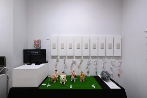 202310_yamaguchitetsushi022