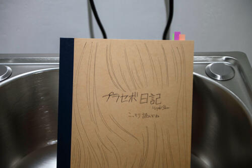 202404_miyabistarr019
