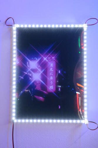 202405_yurihorie030