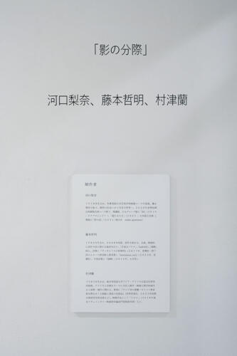 202502_kagenobunzai010