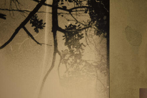 202502_scharade020