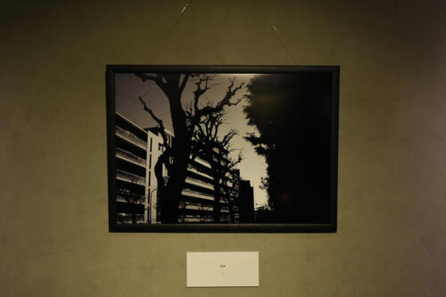 202502_scharade062