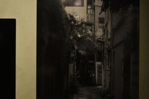 202502_scharade075