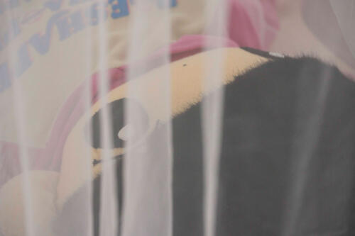 202502_ｍitsubanoclover108