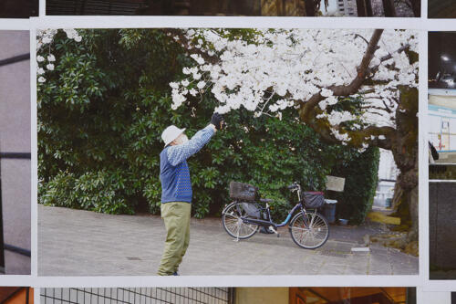 202503_kanekoyama064