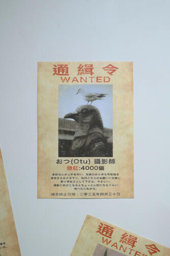 202504_rokutobiyamori011