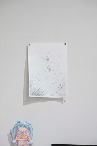 202504_seiran053