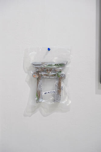 202504_seiran056