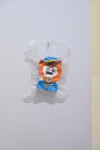 202504_seiran253