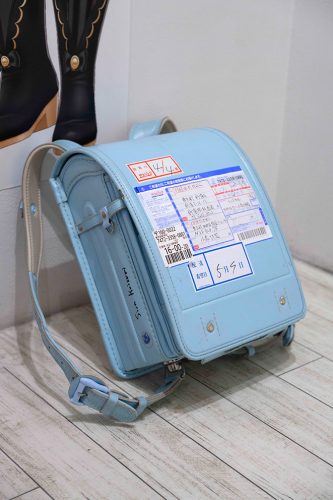 202505_koizumision081