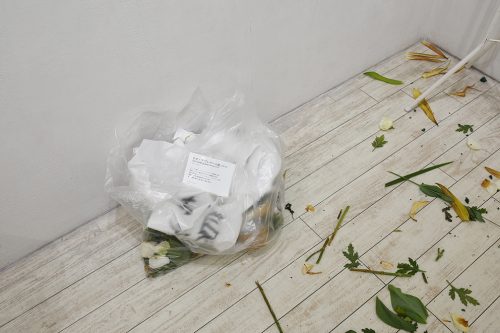 202506_sukanosuto049