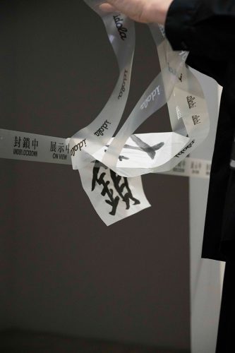 202506_sukanosuto056