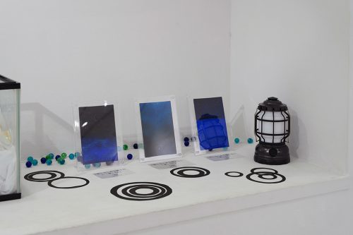 202506_toritofune038