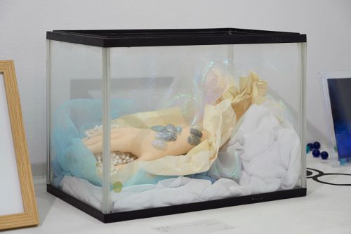 202506_toritofune040