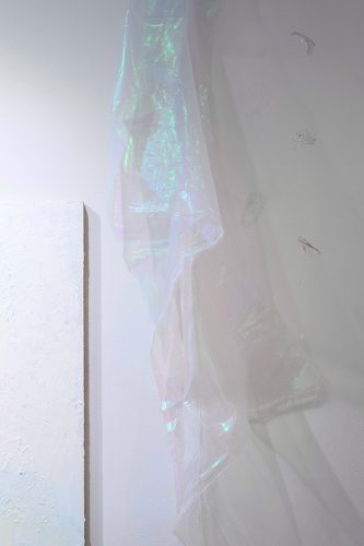 202506_toritofune089