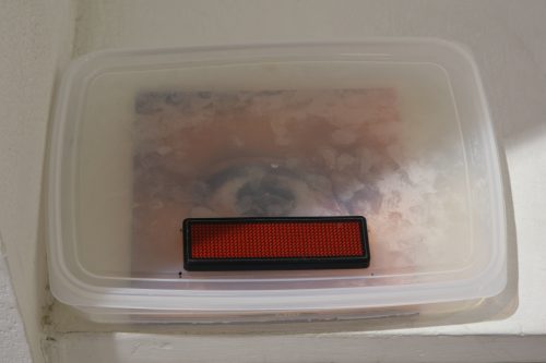 202510_aokidaiyuu019