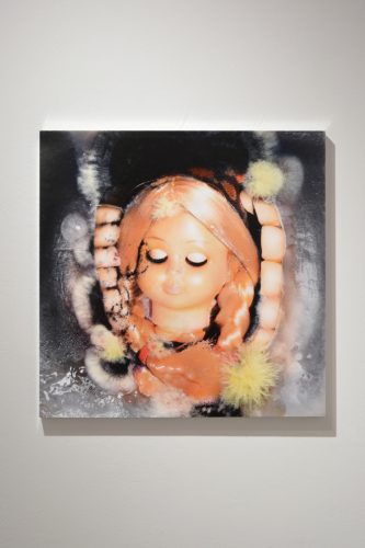 202510_aokidaiyuu025