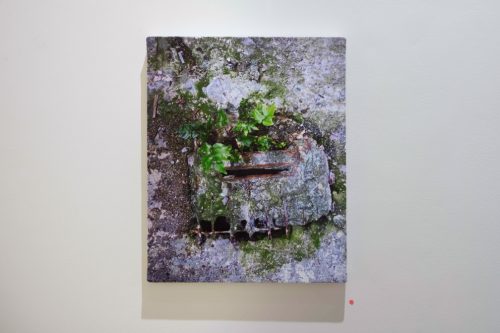 202510_okinofuyuka006