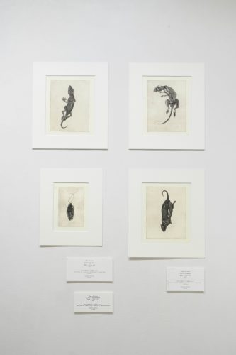 202510_peanutbutter029