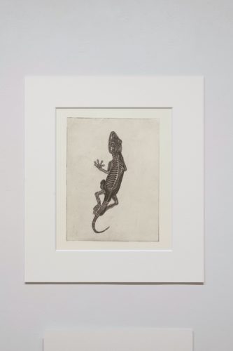 202510_peanutbutter030