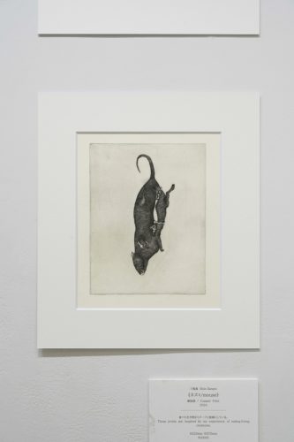 202510_peanutbutter033