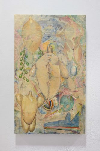 202511_anfalopophagi005