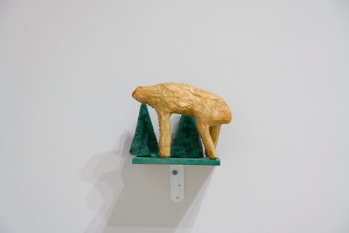 202511_anfalopophagi014