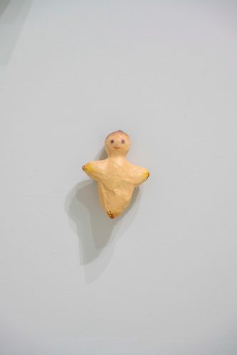 202511_anfalopophagi015