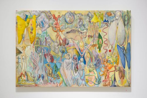 202511_anfalopophagi027