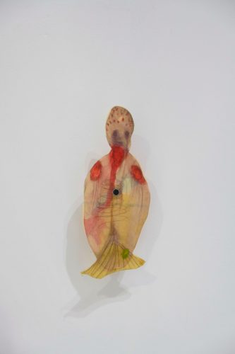 202511_anfalopophagi030