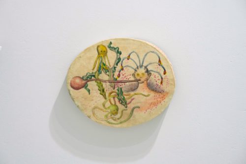 202511_anfalopophagi038