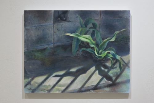 202511_matsumarusatsuki013