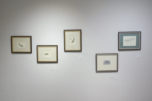 202511_matsumarusatsuki019