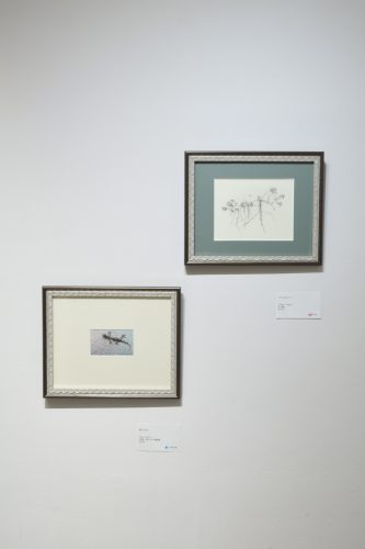 202511_matsumarusatsuki020