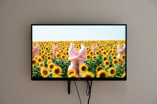 202601_daichiishizawa017