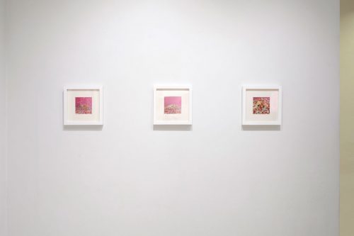 202601_daichiishizawa027