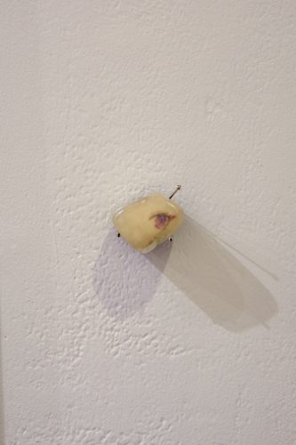 202601_fujishirouso078