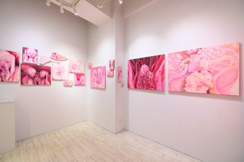 202601_sakuradomadoka009