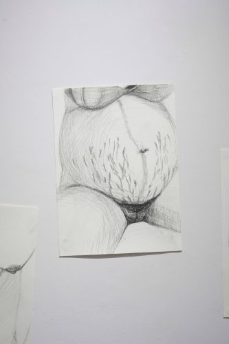 202602_aoyagiyuka017