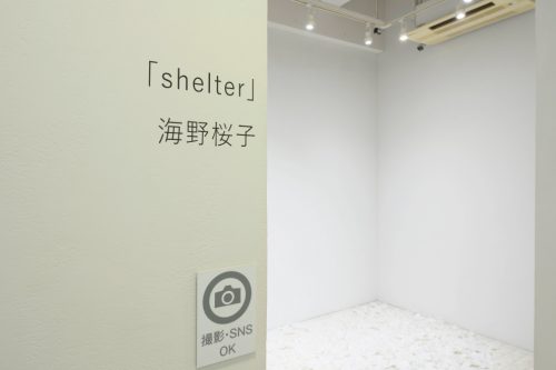 202602_shelter002
