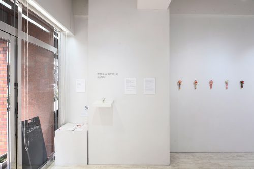 202603_hijikataharuna003