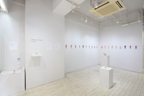 202603_hijikataharuna018