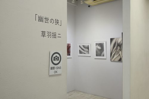 202603_kusabayoji002