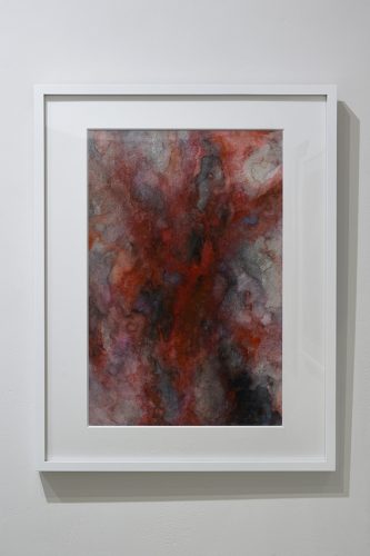 202603_kusabayoji014