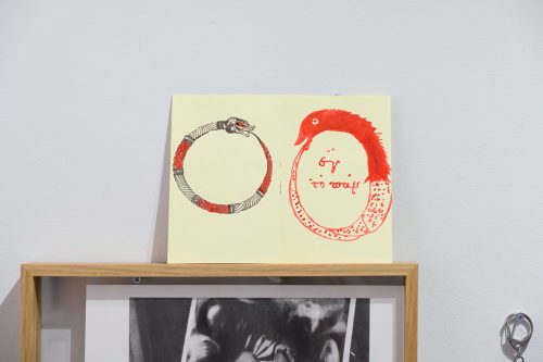 202603_poppypurrsfactory021