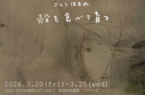 202603_satohomare001